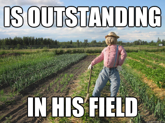 is outstanding in his field  Scarecrow