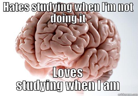 HATES STUDYING WHEN I'M NOT DOING IT LOVES STUDYING WHEN I AM Scumbag Brain