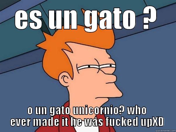 ES UN GATO ? O UN GATO UNICORNIO? WHO EVER MADE IT HE WAS FUCKED UPXD Futurama Fry