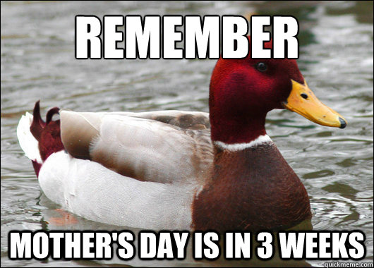 Remember
 Mother's day is in 3 weeks  Malicious Advice Mallard