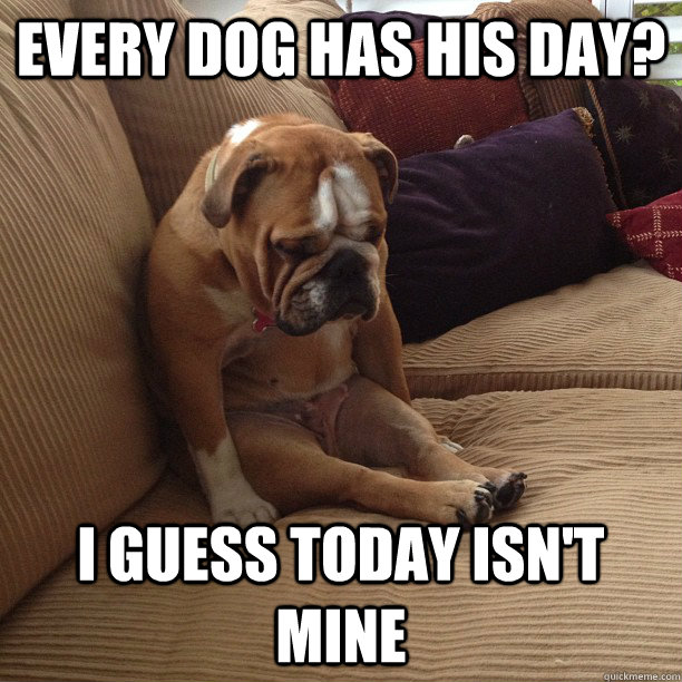 every dog has his day? i guess today isn't mine  