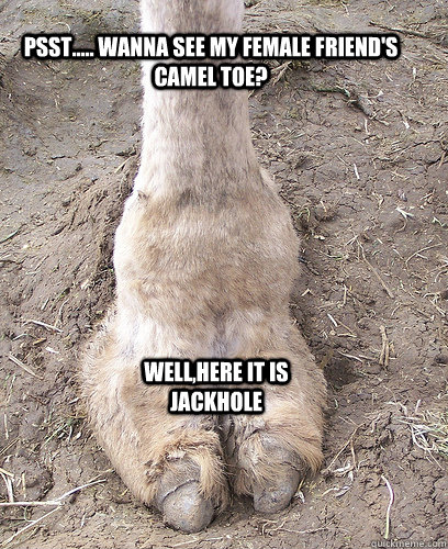 psst..... wanna see my female friend's camel toe? well,here it is jackhole - psst..... wanna see my female friend's camel toe? well,here it is jackhole  camel toe