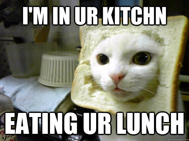 i'm in ur kitchn eating ur lunch - i'm in ur kitchn eating ur lunch  Bread Cat