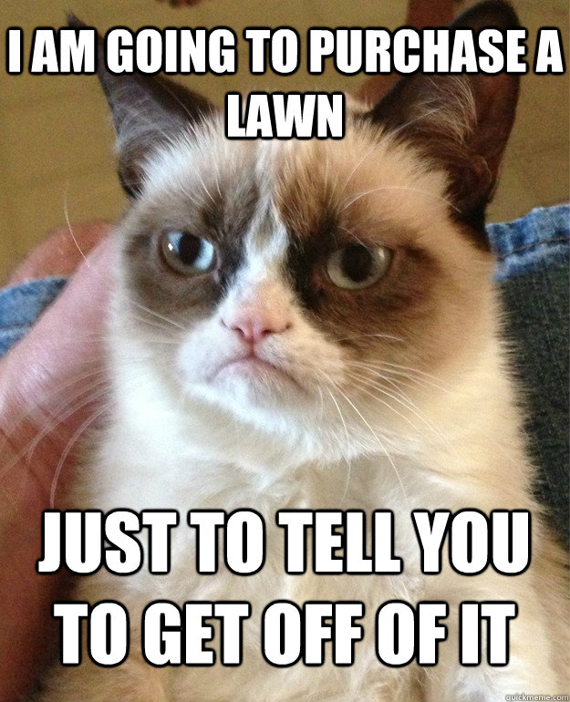 I am going to purchase a lawn Just to tell you to get off of it - I am going to purchase a lawn Just to tell you to get off of it  Grumpy Cat