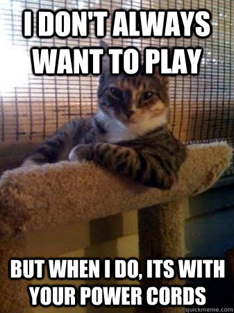 i don't always want to play but when i do, its with your power cords  The Most Interesting Cat in the World