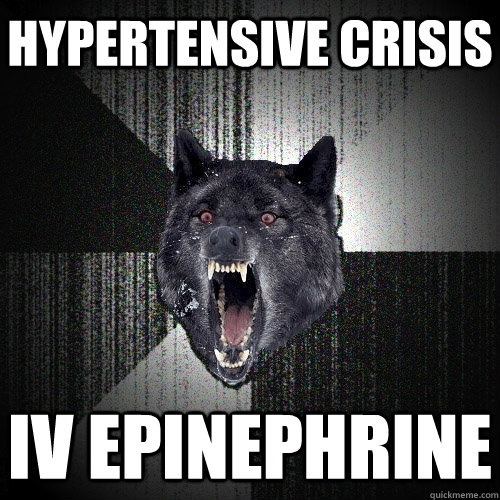 Hypertensive crisis IV epinephrine  Insanity Wolf