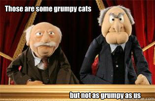 Those are some grumpy cats but not as grumpy as us - Those are some grumpy cats but not as grumpy as us  UMB Statler and Waldorf