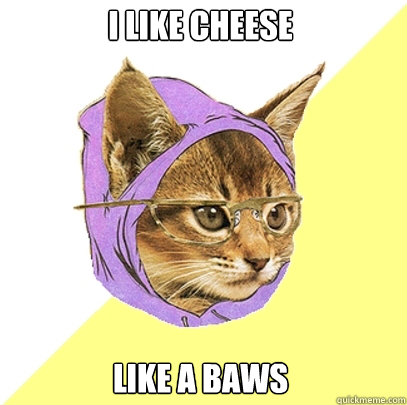I like cheese  Like a baws  Hipster Kitty