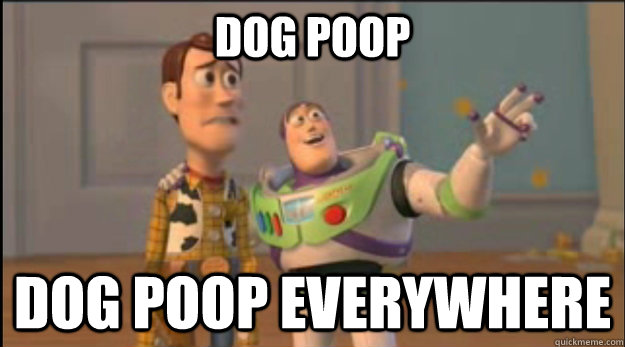 Dog Poop Dog poop everywhere - Dog Poop Dog poop everywhere  Misc
