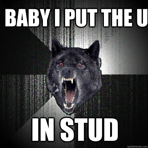 Baby I put the U In STuD  Insanity Wolf
