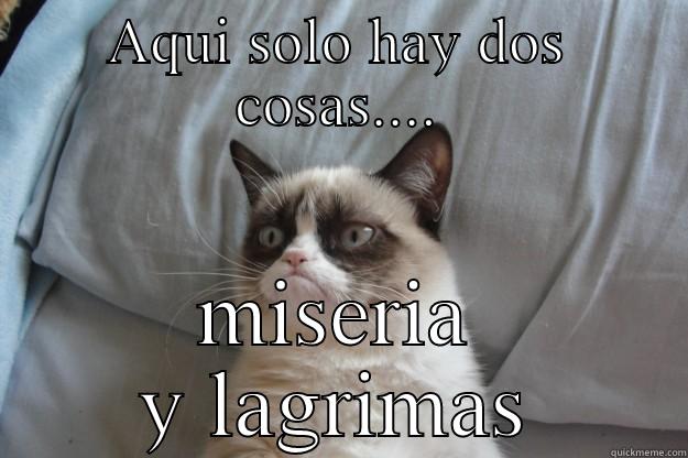 AQUI SOLO HAY DOS COSAS.... MISERIA Y LAGRIMAS Grumpy Cat
