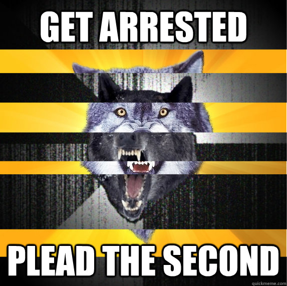 get arrested plead the second  insane courage wolf