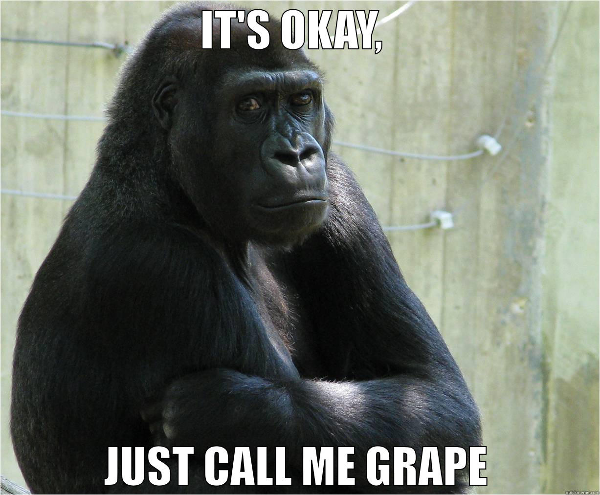 Grape, the great ape. - IT'S OKAY,  JUST CALL ME GRAPE Misc