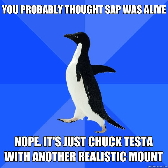 You probably thought SAP was alive Nope. It's just chuck testa with another realistic mount   Socially Awkward Penguin
