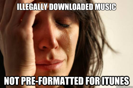 illegally downloaded music not pre-formatted for itunes - illegally downloaded music not pre-formatted for itunes  First World Problems