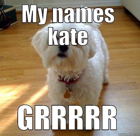 maltese grrrr - MY NAMES KATE GRRRRR Misc