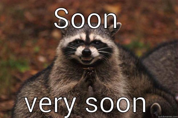 SOON VERY SOON Evil Plotting Raccoon