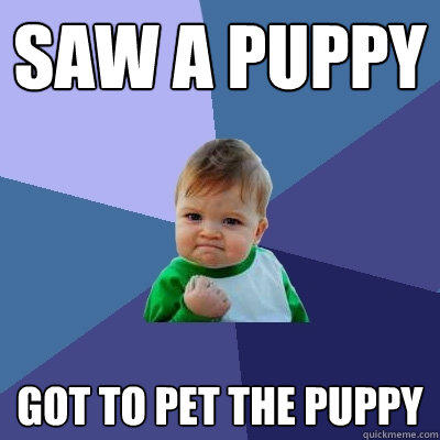 saw a puppy got to pet the puppy - saw a puppy got to pet the puppy  Success Kid