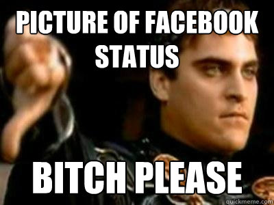 picture of facebook status bitch please  Downvoting Roman