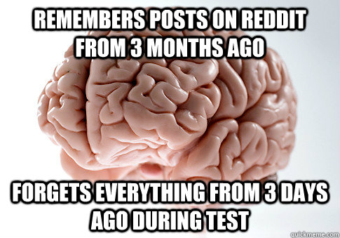 Remembers posts on reddit from 3 months ago forgets everything from 3 days ago during test  Scumbag Brain