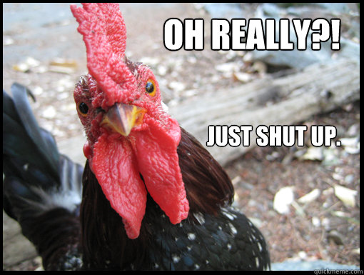 Oh Really?! Just Shut up. - Oh Really?! Just Shut up.  Serious Rooster