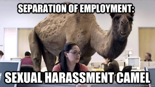 SEPARATION OF EMPLOYMENT: SEXUAL HARASSMENT CAMEL - SEPARATION OF EMPLOYMENT: SEXUAL HARASSMENT CAMEL  hump day