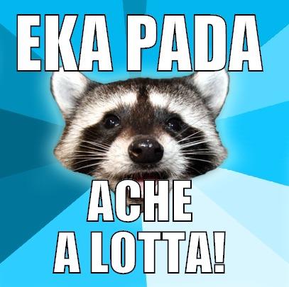 EKA PADA ACHE A LOTTA! Lame Pun Coon