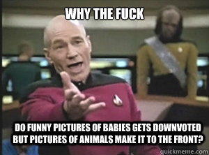 why the fuck Do funny pictures of babies gets downvoted but pictures of animals make it to the front?  Annoyed Picard