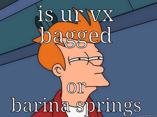 IS UR VX BAGGED OR BARINA SPRINGS Futurama Fry