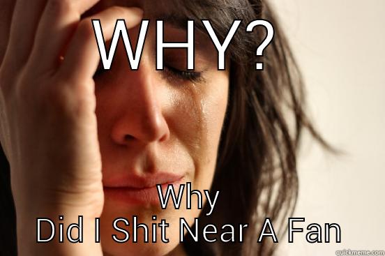WHY? WHY DID I SHIT NEAR A FAN First World Problems