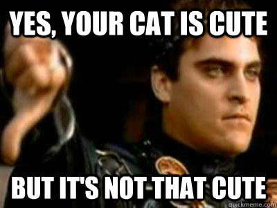 Yes, your cat is cute But it's not that cute  Downvoting Roman
