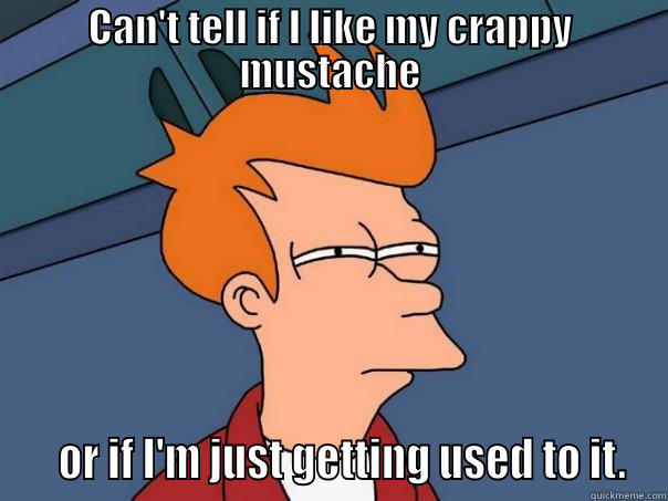 CAN'T TELL IF I LIKE MY CRAPPY MUSTACHE    OR IF I'M JUST GETTING USED TO IT. Futurama Fry