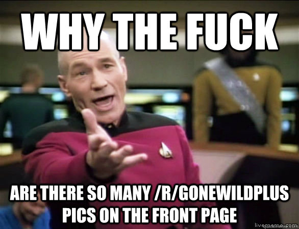 why the fuck are there so many /r/gonewildplus pics on the front page  Annoyed Picard HD