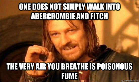 One Does Not Simply walk into Abercrombie and Fitch The very air you breathe is poisonous fume  Boromir
