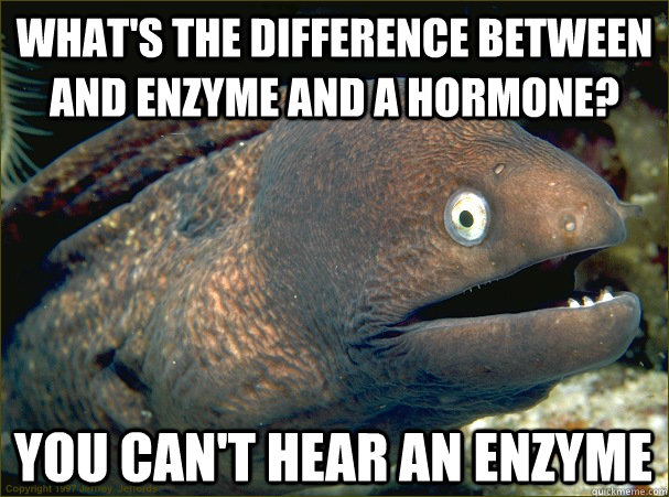 What's the difference between and enzyme and a hormone? You can't hear an enzyme - What's the difference between and enzyme and a hormone? You can't hear an enzyme  Bad Joke Eel
