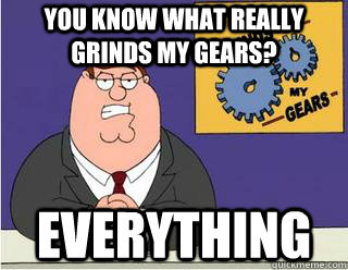 YOU KNOW WHAT REALLY GRINDS MY GEARS? everything  Grinds my gears