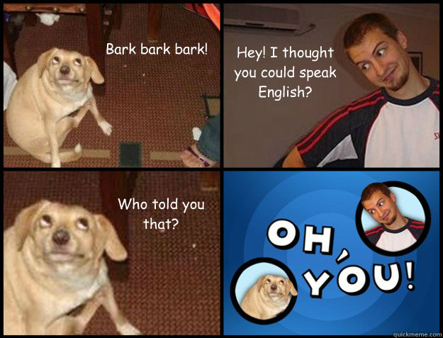Bark bark bark! Hey! I thought you could speak English? Who told you that? - Bark bark bark! Hey! I thought you could speak English? Who told you that?  Misc