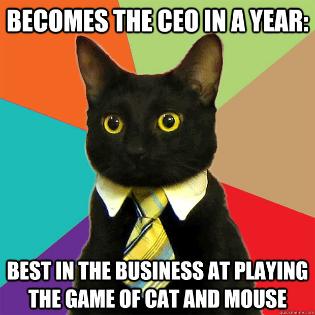 becomes the CEO in a year: best in the business at playing the game of cat and mouse  Business Cat