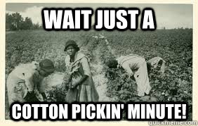 Wait just a  Cotton pickin' minute!  cotton fields