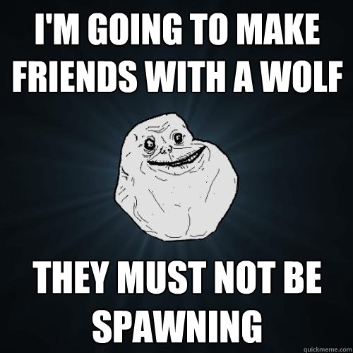 I'M GOING TO MAKE FRIENDS WITH A WOLF They must not be spawning  Forever Alone