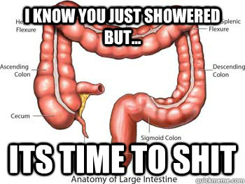 I know you just showered but... its time to shit - I know you just showered but... its time to shit  Scumbag Colon
