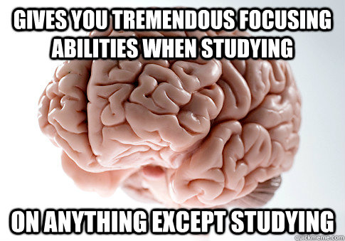 gives you tremendous focusing abilities when studying on anything except studying - gives you tremendous focusing abilities when studying on anything except studying  Scumbag Brain