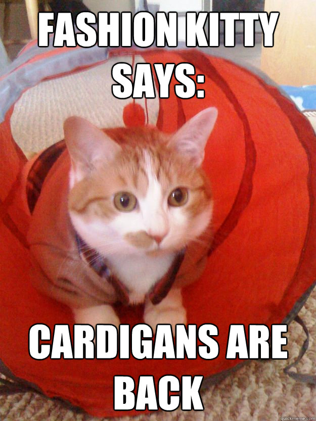 FASHION KITTY SAYS: CARDIGANS ARE BACK - FASHION KITTY SAYS: CARDIGANS ARE BACK  Cardigan Cat