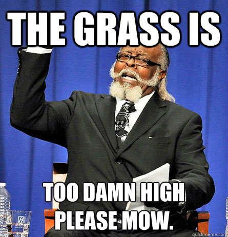THE GRASS IS Too Damn high
please mow.  Jimmy Mc Millian