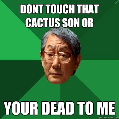 dont touch that cactus son or your dead to me  High Expectations Asian Father