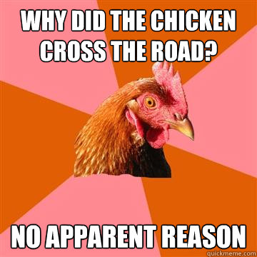 Why did the chicken cross the road? no apparent reason - Why did the chicken cross the road? no apparent reason  Anti-Joke Chicken