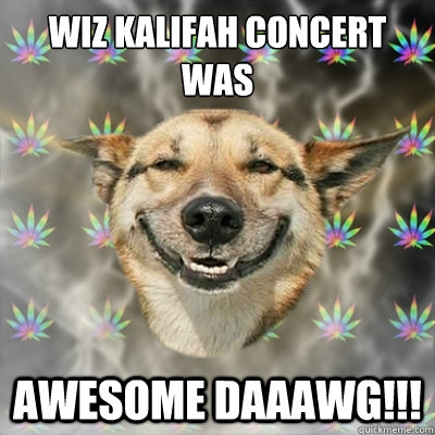 Wiz Kalifah concert was Awesome Daaawg!!!  Stoner Dog