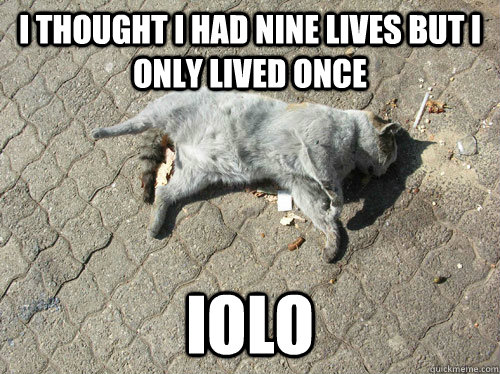 I THOUGHT I HAD NINE LIVES BUT I ONLY LIVED ONCE IOLO  dead cat