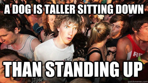 A dog is taller sitting down  than standing up  Sudden Clarity Clarence