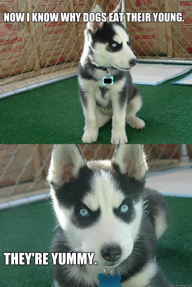 Now i know why dogs eat their young.



 
They're yummy.  Insanity puppy